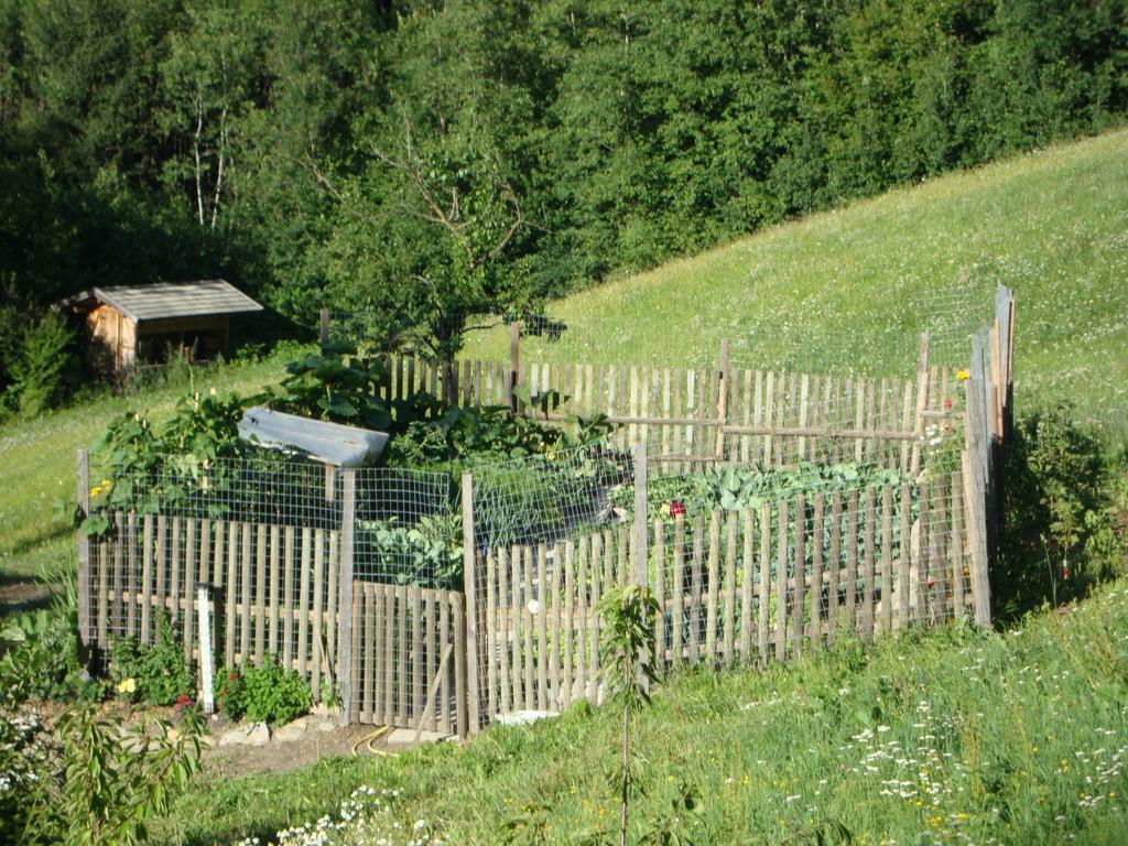 Winnewieser Вандойес Екстериор снимка