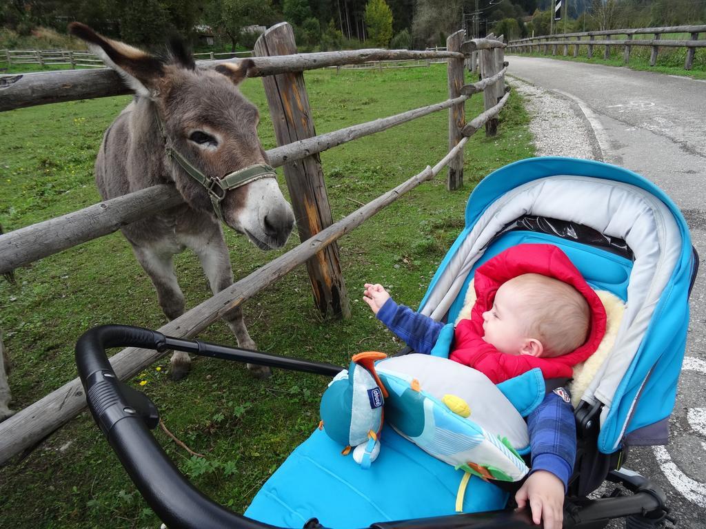 Winnewieser Вандойес Екстериор снимка